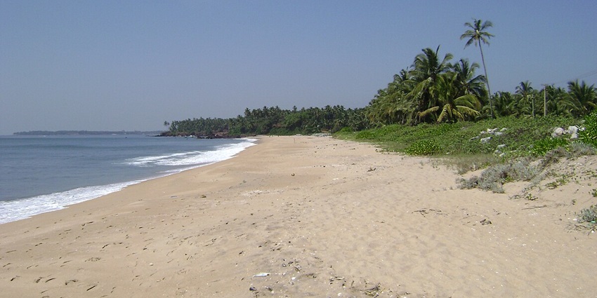 Thottada Beach, surrounded by the lush green trees and Arabian ocean on the other side