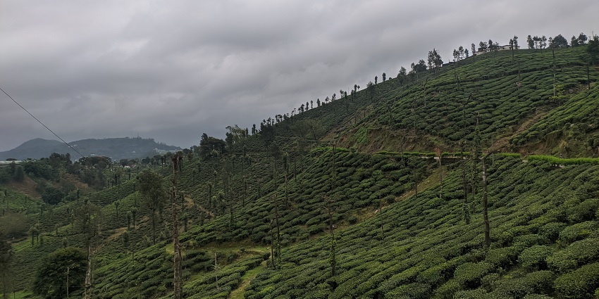 With cultural festivals and picturesque landscape, Thrissur can’t be missed in this rich list.