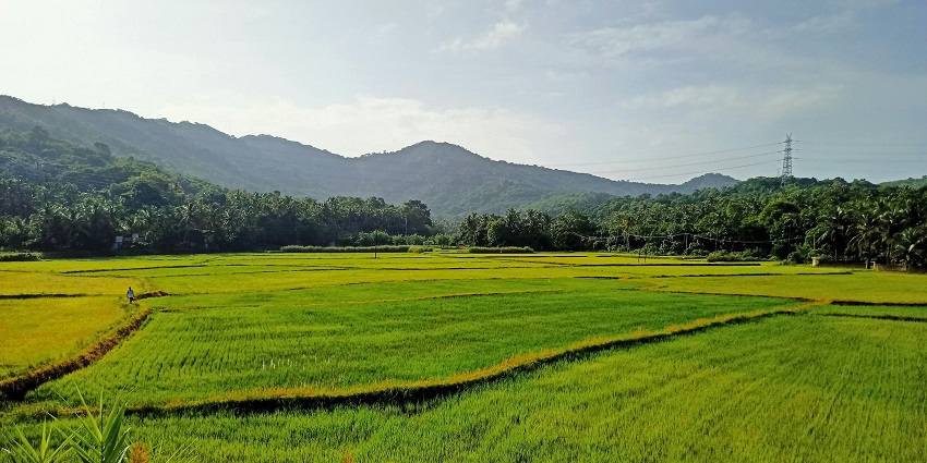 Thrissur is one of the most fascinating places to visit in Kerala for an amazing time.