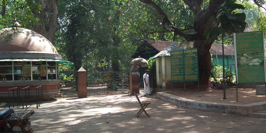 With vivid wildlife and historical artefacts, this place has become a major hub for visitors.