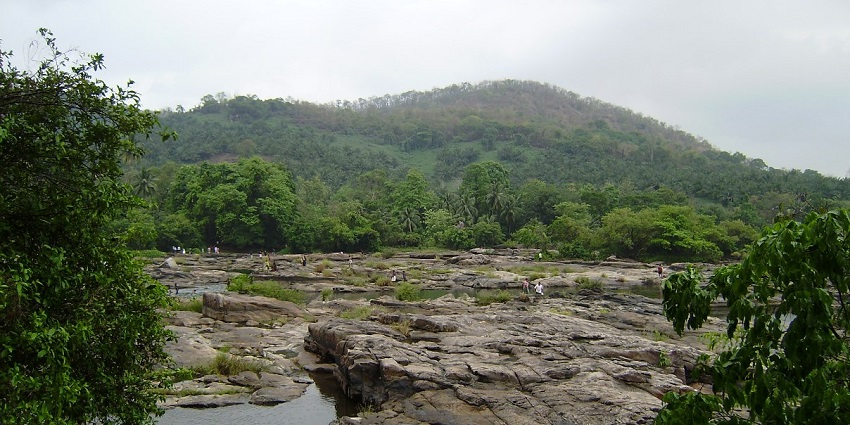 Thumboormuzhy Gardens is the perfect place to visit near Athirapally for serenity seekers