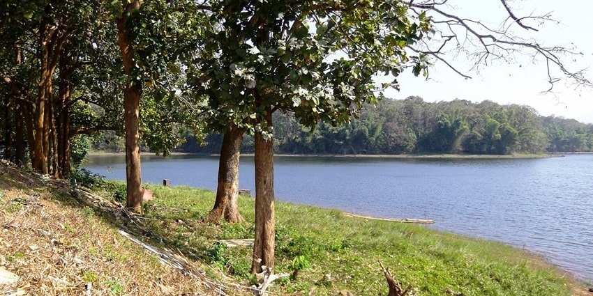 Thunakadavu Dam is a scenic place to visit near this national park with panoramic views