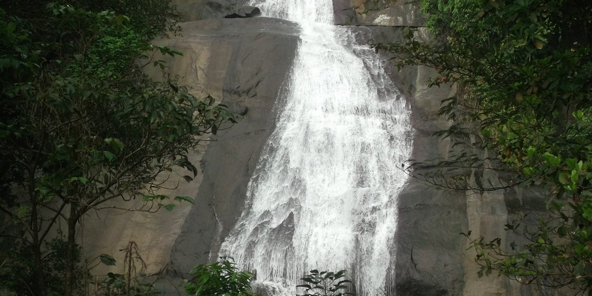 Stunning Thusharagiri Waterfalls cascading down rocky cliffs amidst lush forest.