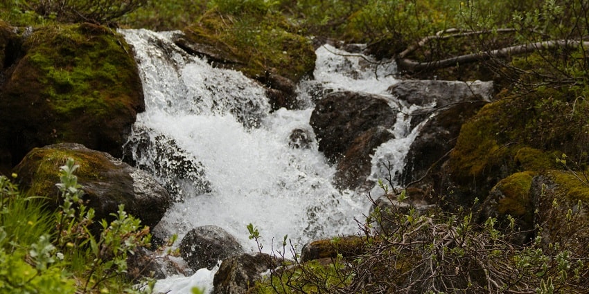 Thusharagiri Waterfalls is one of the best places to visit in Vythiri for an amazing time.