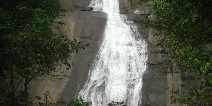 A mesmerising view of cascading Thusharagiri Waterfalls surrounded by lush greenery.