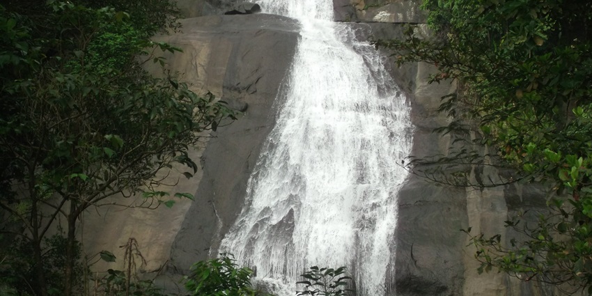 Lush green view of Thushargiri Waterfalls, which is a beautiful sight for all travellers.