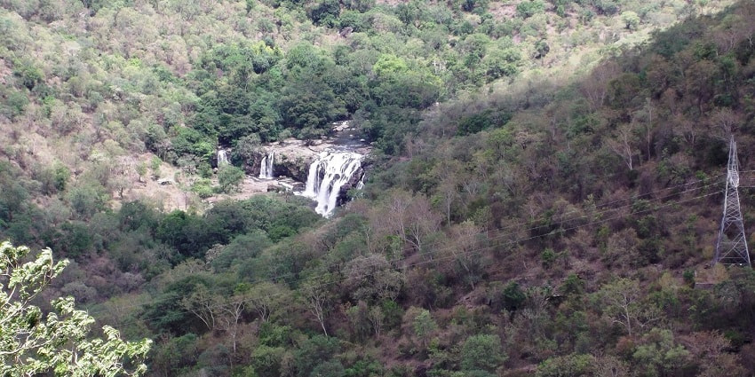 Thuvanam Waterfall is one of the best places to visit around the attraction.