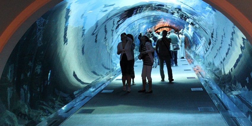 Enjoy the interactive displays at the Underwater Zoo, a must-visit spot in Dubai.