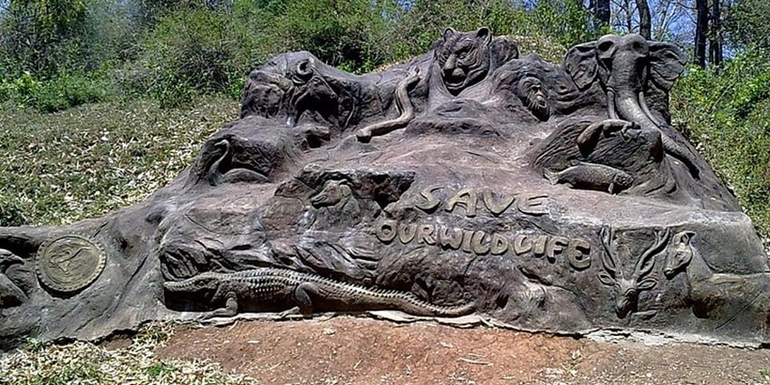 A tiger reserve near Meenvallam Waterfalls