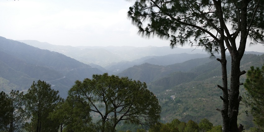 Visiting Timber Trail is one of the best things to do in Kasauli for cherishing serenity.