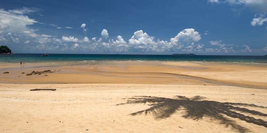 Tioman Island is one of the best places to visit in Malaysia for its lush forests.