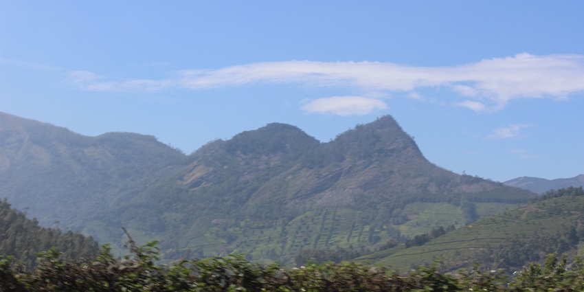 Forested hills of Top station in Munnar offering various picturesque sights for trekkers