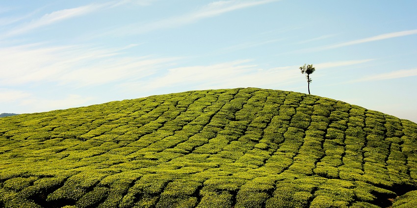Top Station is one of the most stunning places to visit in Kanthalloor for amazing views.