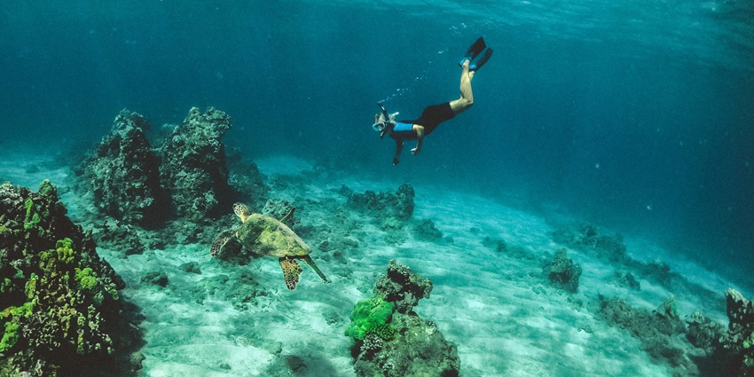 Discover the underwater world and swim with sea animals as you indulge in scuba diving.