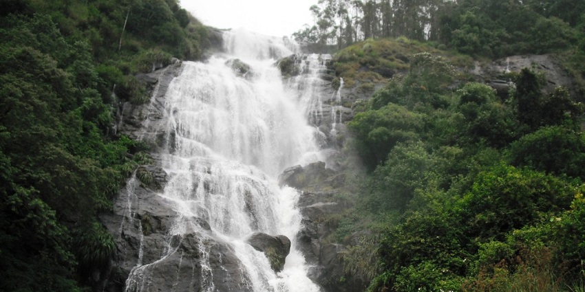 Power House Waterfalls is surrounded by green lush forests and tea plantations
