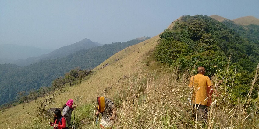 Enjoy trekking in the beautiful trails of Thusharagiri also called trekker’s escape.