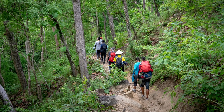 Travellers trekking through lush green forest - offers an ideal landscape for trekking