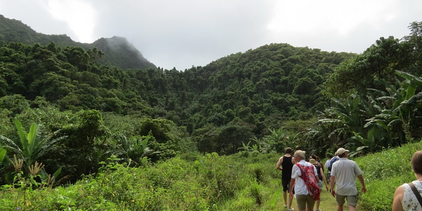 Trekking through the serene views is an activity all adventurers must indulge in.