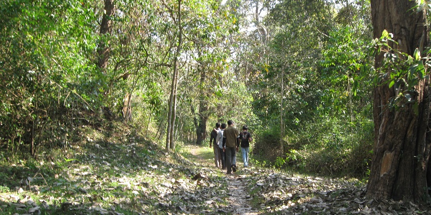 Trekking can be a great option for people who love adventure, amidst the surroundings of these falls.