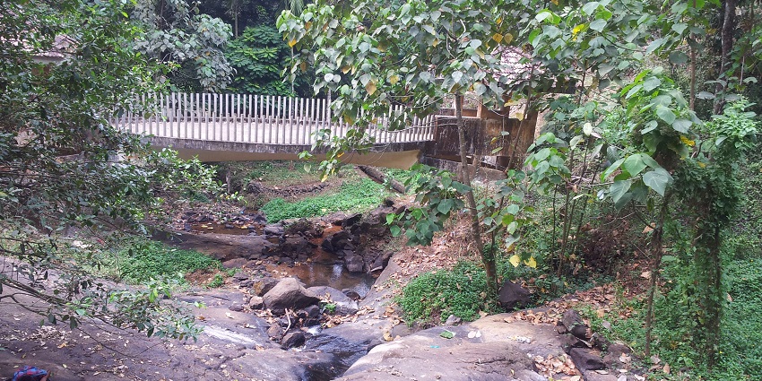 Trekking trail near the waterfall