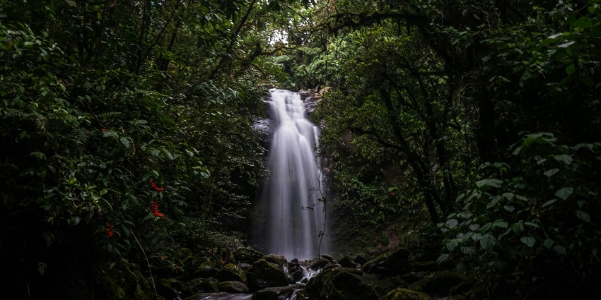 Trekking is one of the most exciting activities to do around Aruvickachal Waterfalls.