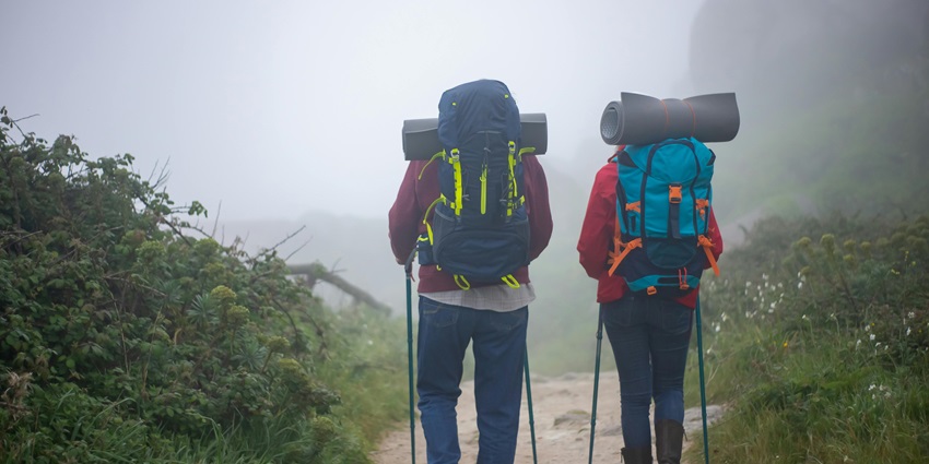 Travellers birdwatching and enjoying wildlife safari - Peechi Wildlife Sanctuary.