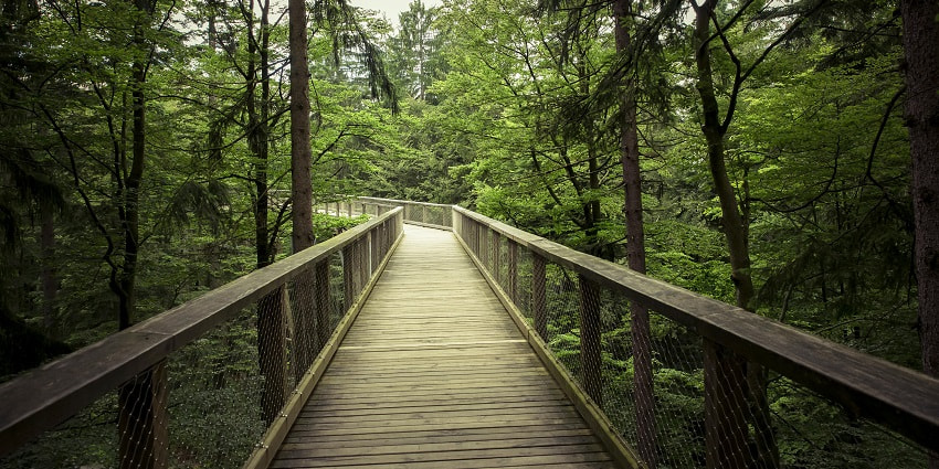 Trekking is one of the most exciting to do around Ambanad Waterfalls for travellers.