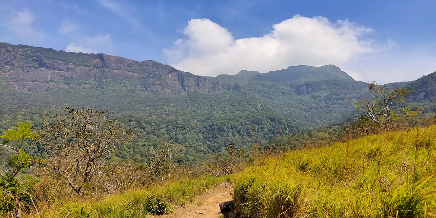 Scenic view of hills surrounded by the green lush forest under the sunny cloud