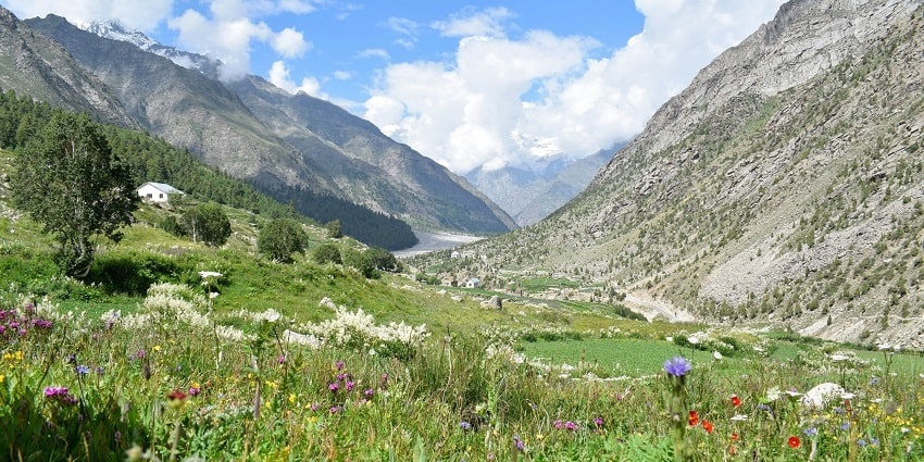 Trekking is one of the best adventure sports in Kerala for every thrill-seeking traveller.