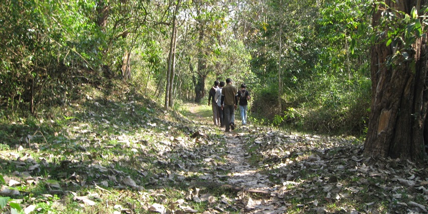 Group of hikers trekking through a scenic trail amidst lush greenery and dry leaves