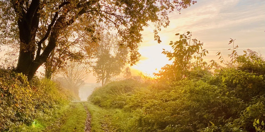 Trekking is one of the ways you can reach Pallivasal Waterfall to enjoy its scenic beauty.