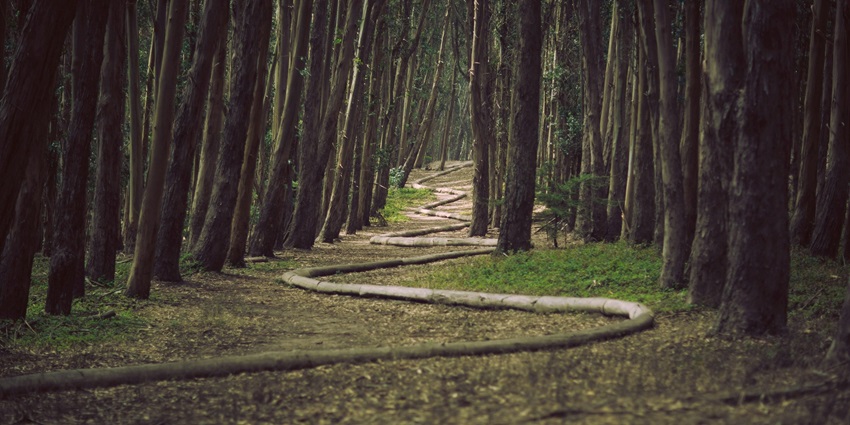 ndulging in an exciting trek is one of the best ways to reach Aruvikkuzhi Waterfalls.