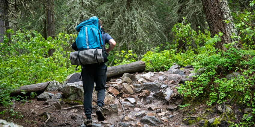 Trekking is one of the best activities to do on a trip to The distance of Pampadum Shola National Park .