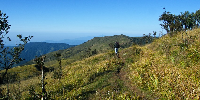The trek to the Singalila National Park is surrounded by scenic views of lush greenery.