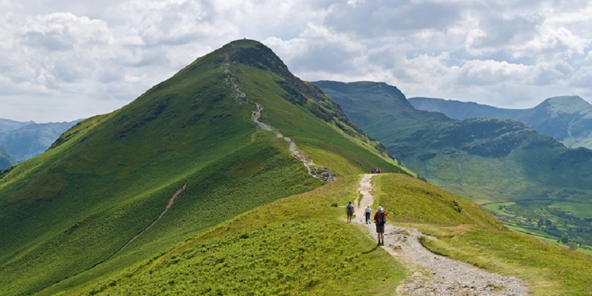 Trek in the lush green natural trails to witness flora and fauna in Kerala, India.