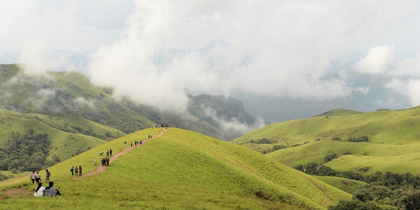 A winding trekking trail through dense forest with dappled sunlight filtering through.