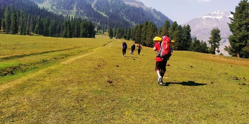 Trekking to Madhatop amidst greenery is one of the fascinating things to do in Patnitop.