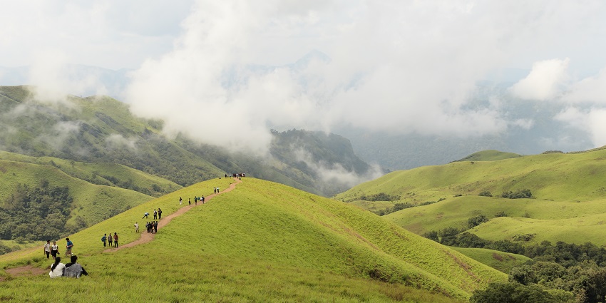 Trekking and hiking are some of the best activities to do in Chimmini Wildlife Sanctuary.