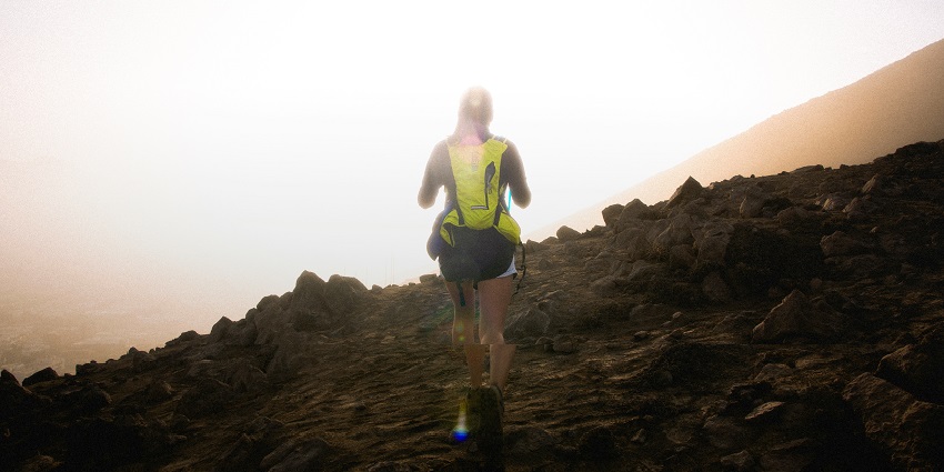 Trekking and hiking are some of the top activities in Mathikettan Shola National Park.
