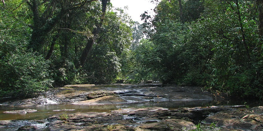 Trek through the lush landscape of this amazing attraction for a thrilling experience.