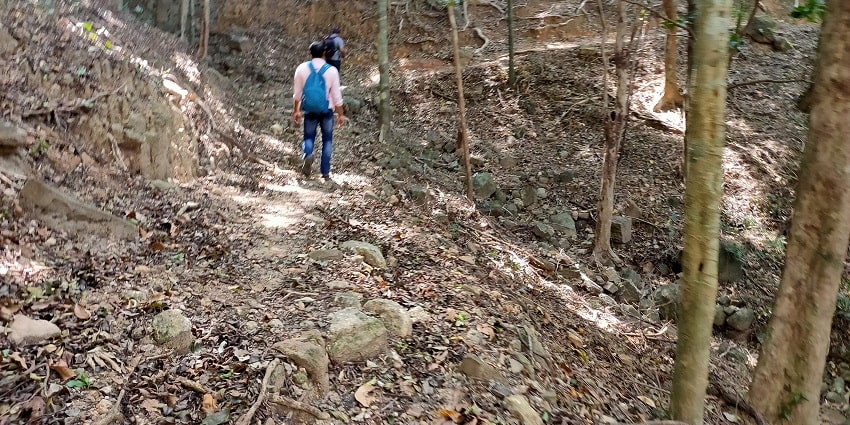 Trekking is one of the best activities to enjoy while visiting Peppara Wildlife Sanctuary.