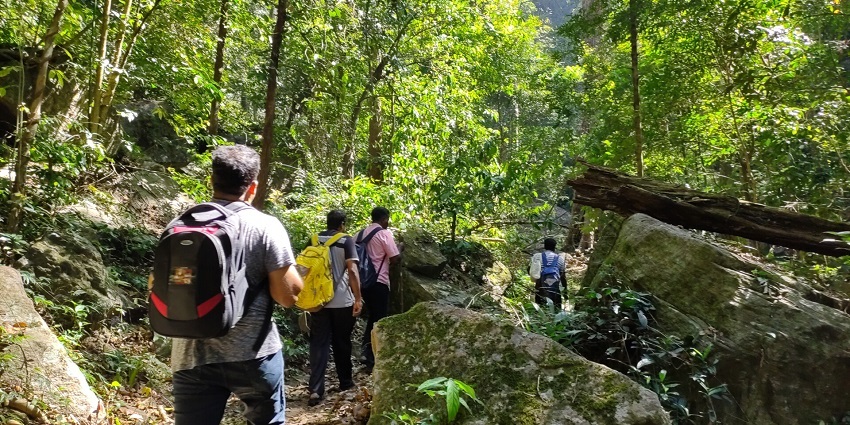 Galathea National Park is an ideal place for trekking as it is full of dense forests