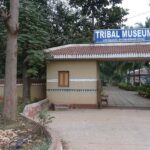 Explore the unique Tribal Museum Bhubaneswar, one of the State Tribal Museums in India.