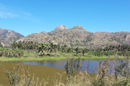 A beautiful landscape in Trivandrum