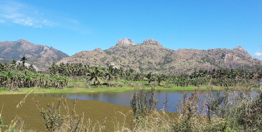 A beautiful landscape in Trivandrum