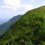 A view of lush green Ponmudi hill station near Trivandrum district of Kerala in India.