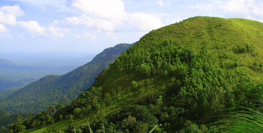 A view of lush green Ponmudi hill station near Trivandrum district of Kerala in India.