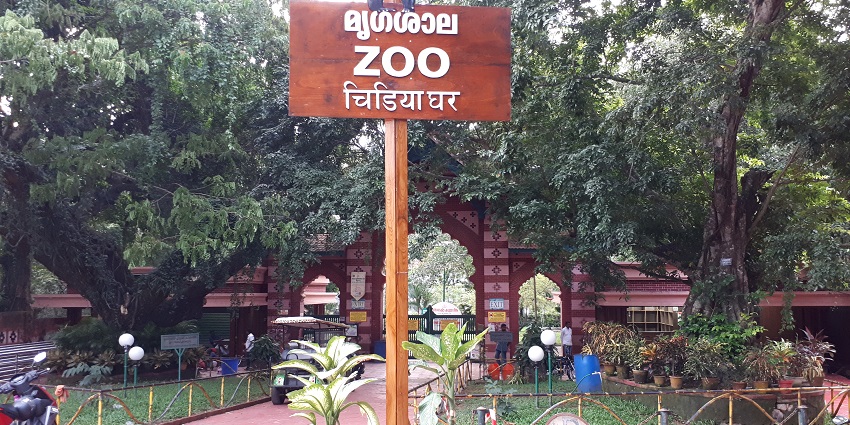 Get to meet some endangered species while exploring Trivandrum Museum and Zoo, Kerala.