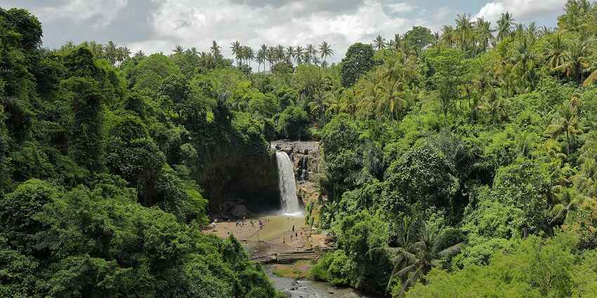 Tukad Cеpung Watеrfall, hidden at a cave’s end, is a stunning waterfall in the region.