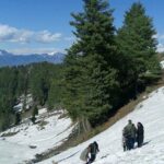 Picturesque winter scene, covered in snow & pine trees - hill stations near Udhampur